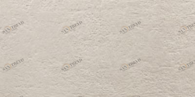 Light Stone Beige 25х50 Argenta sun-id-314879