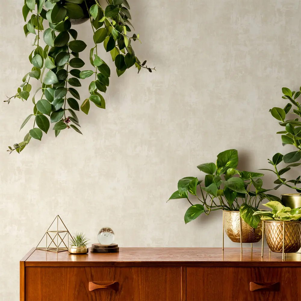 Erismann Profi Deco: Бежевые флизелиновые обои с моющейся поверхностью 83591955 STLM-0042301 - Вид №2