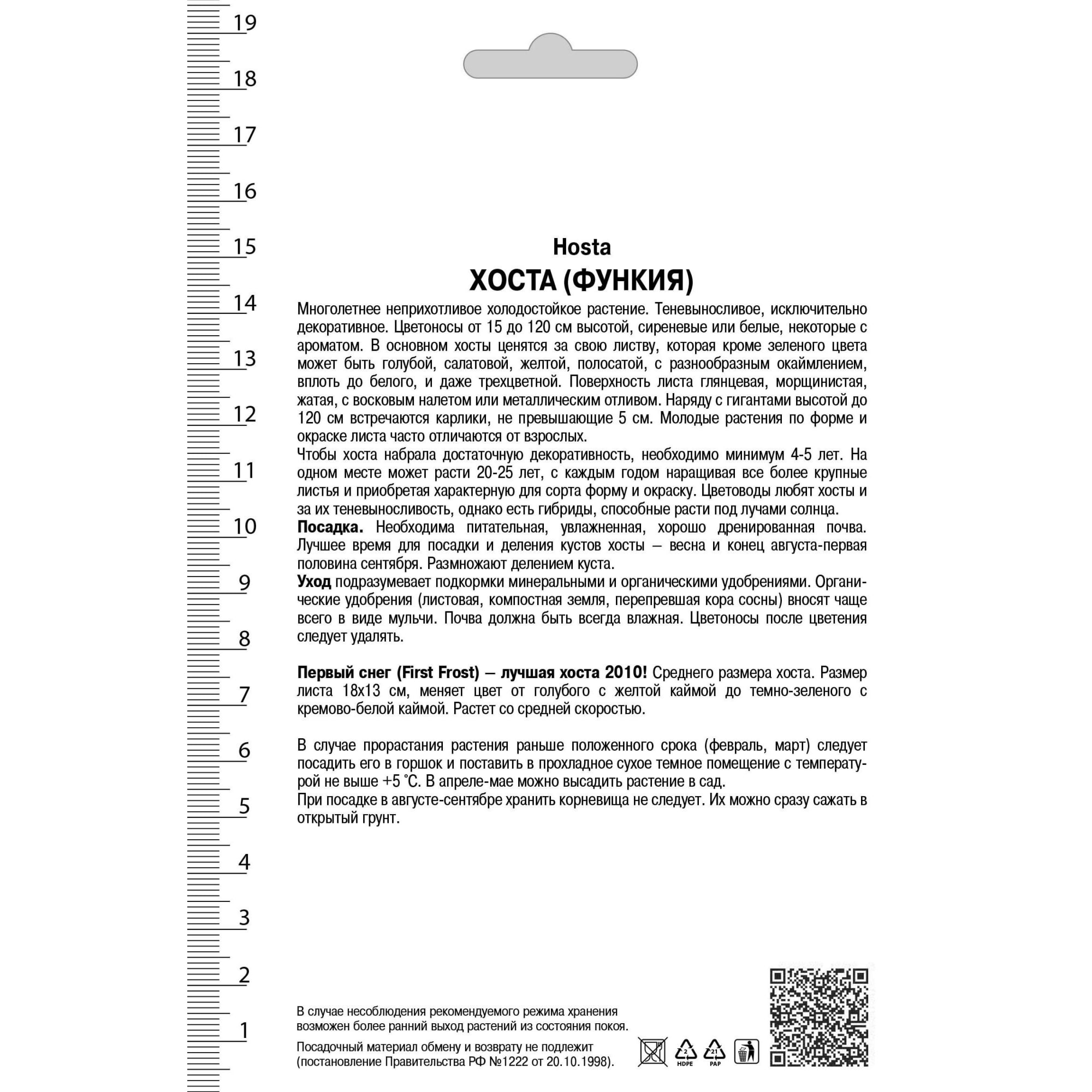 82530276 Хоста гибридная «Фёст Фрост» Santreyd  - Вид №1