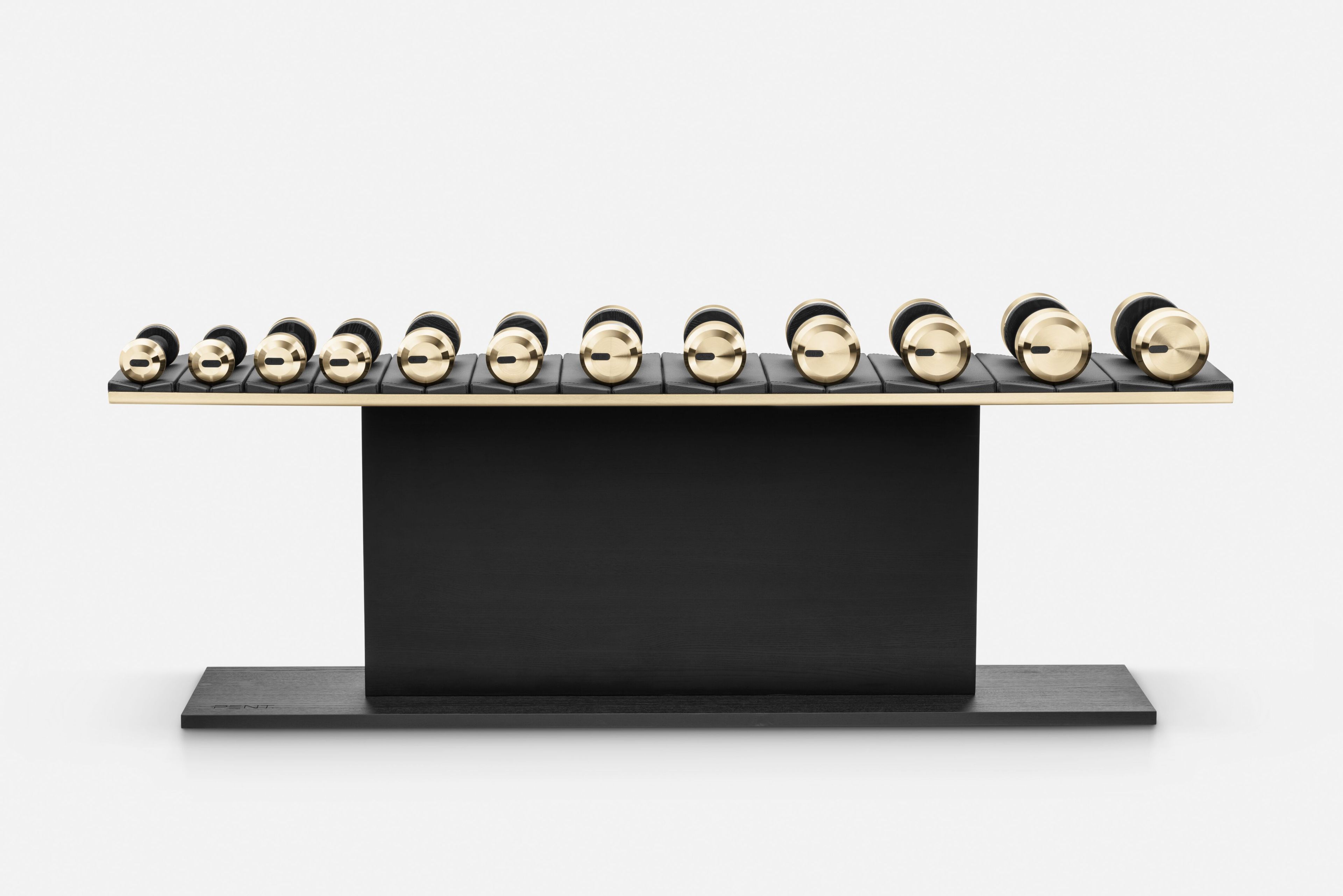 Набор гантелей из нержавеющей стали и дерева PENT Colmia ARCH-00081984 - Вид №3