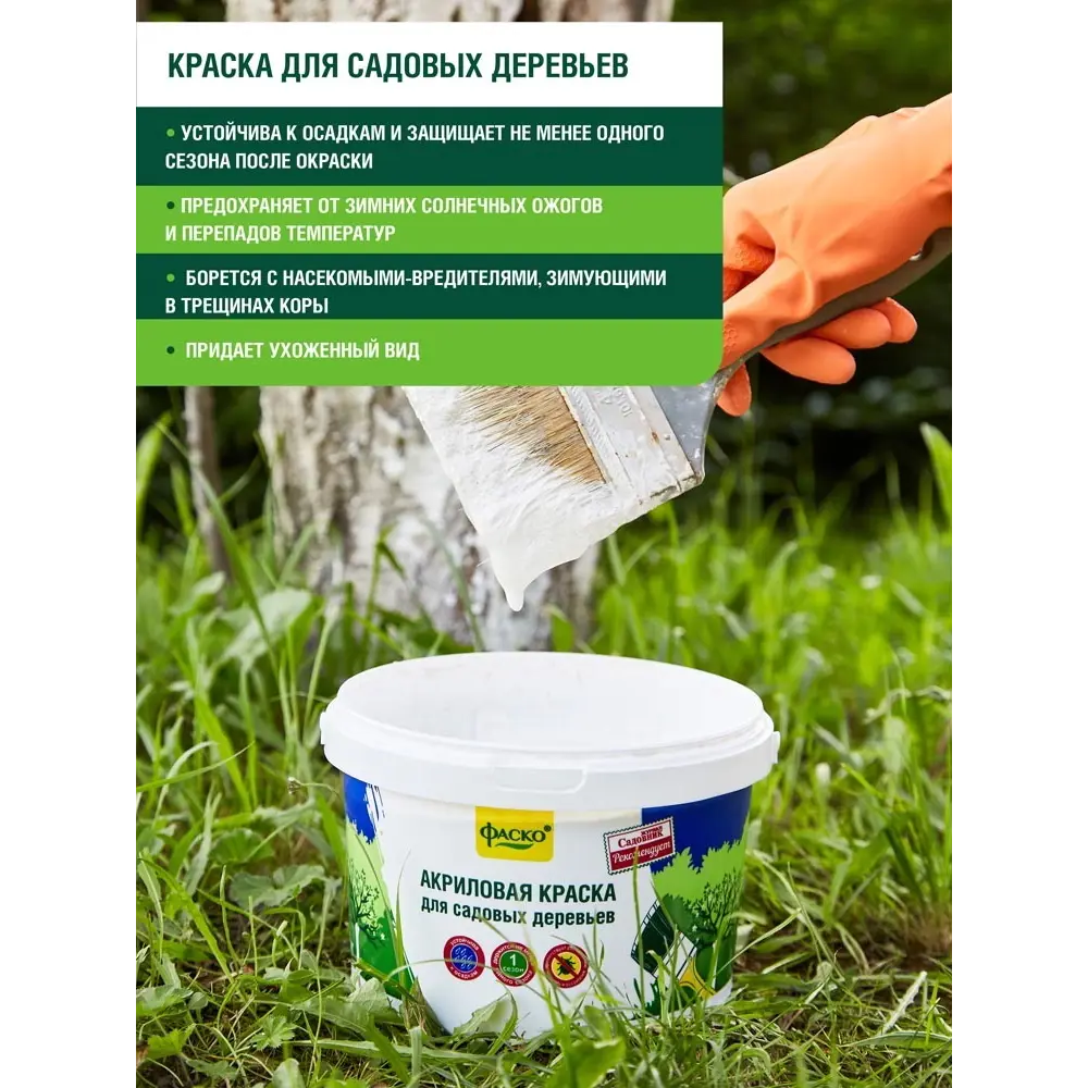 Краска для дерева Фаско 2.5 кг Santreyd STLM-2072264 - Вид №3