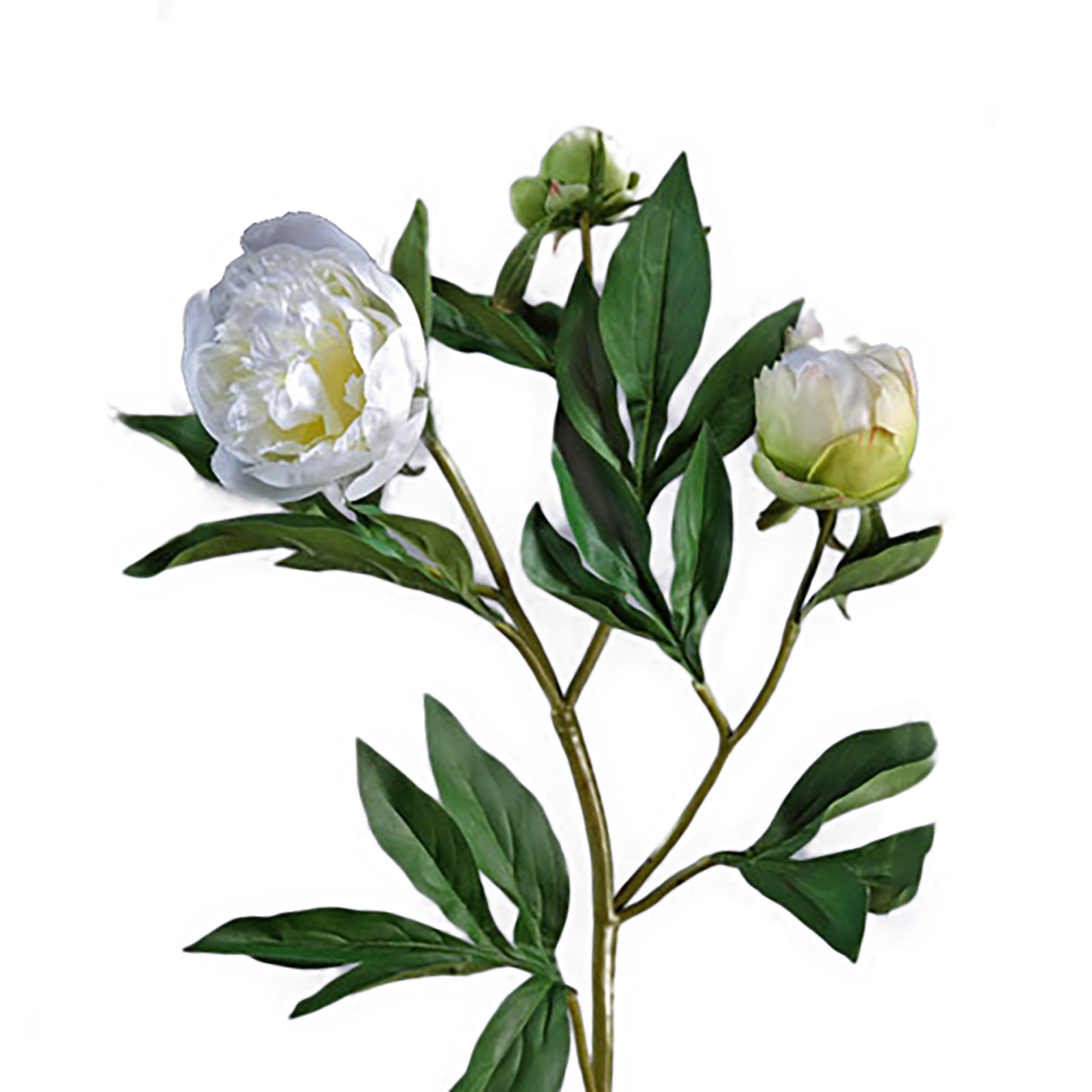 2000983204912 Пион белый ветвь 60 см LINDDNA Santreyd 