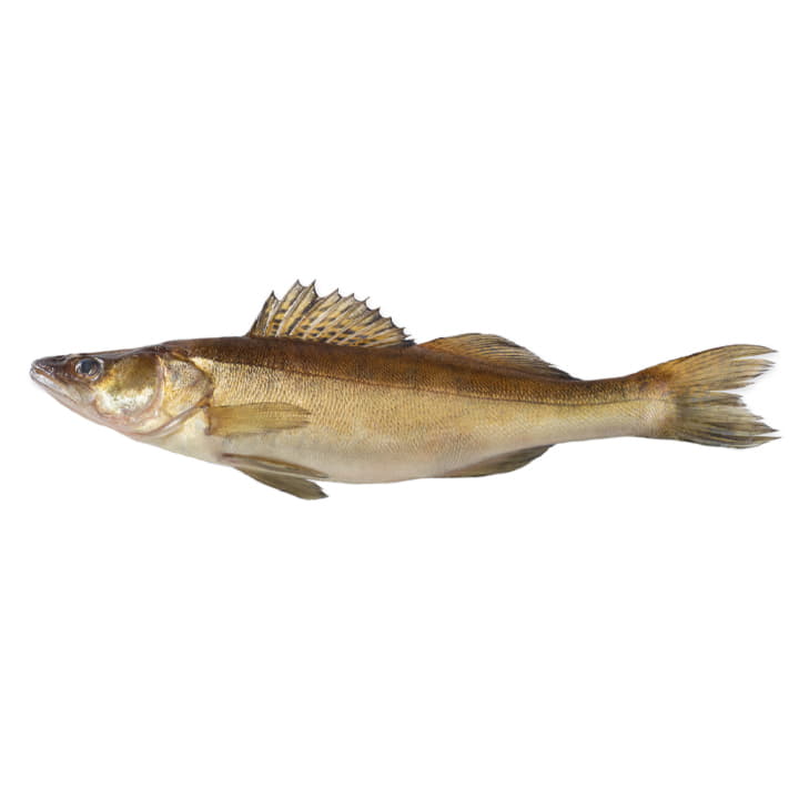 Судак охлажденный ~1,5 кг Santreyd 11783