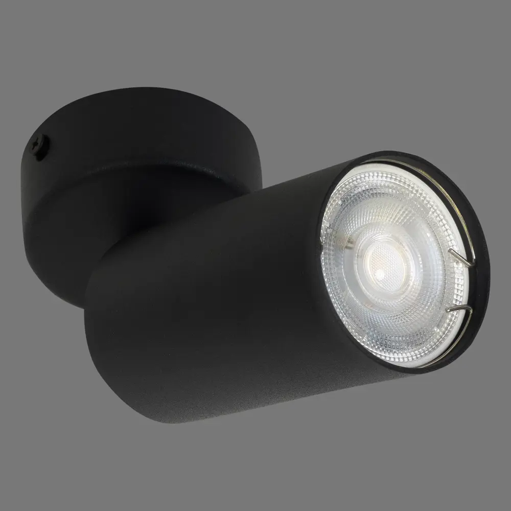 Поворотный спот Arte Lamp Arius — акцентное освещение для современного интерьера 82138004 STLM-0020145 - Вид №1