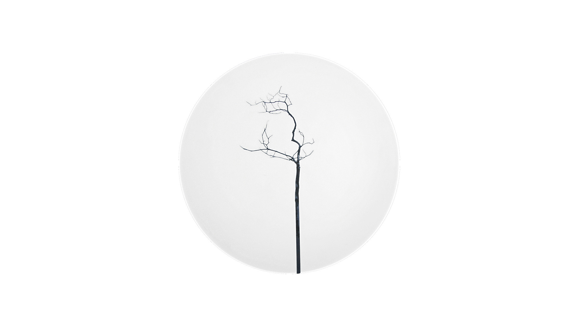 10662967 Dibbern Сервиз чайный Dibbern Чёрный лес на 6 персон 21 предмет, фарфор Фарфор костяной  - Вид №5