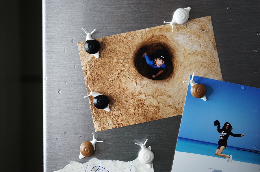 QL10289-MX Магниты snail, 6 шт. Qualy  - Вид №4