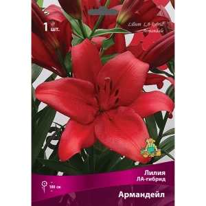 83597412 Лилии ЛА-гибриды Армандейл луковица 16/18 STLM-1457757
