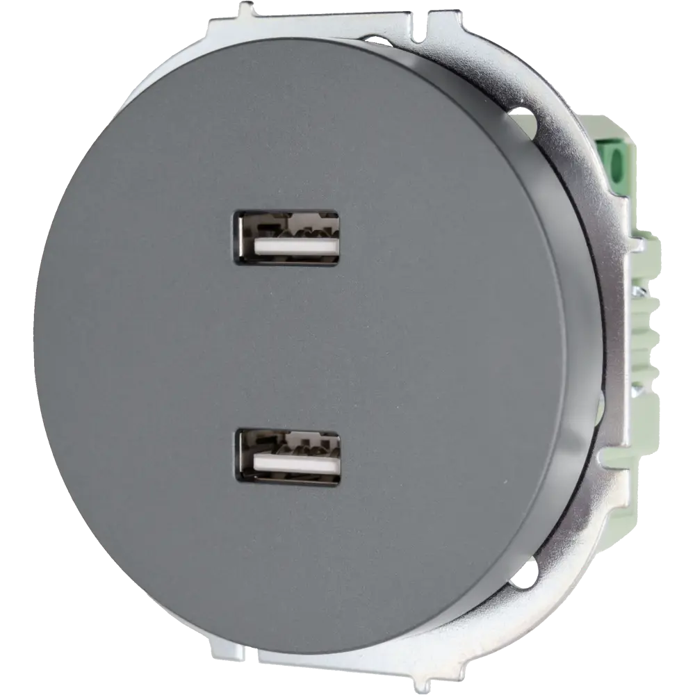 Розетка двойная USB встраиваемая Osen цвет серый 89424792 STLM-2137299 LEZARD