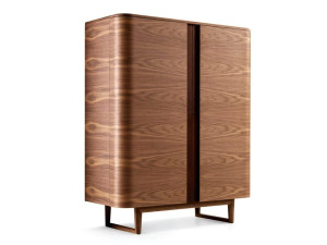 Шкаф с распашными дверцами