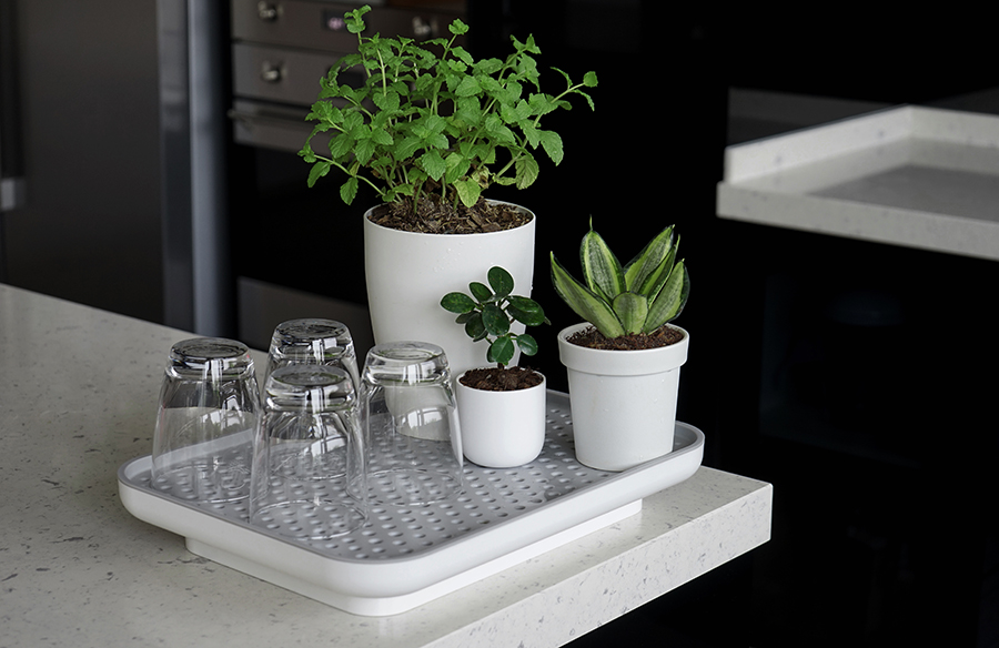 QL10309-WH-GY Лоток для полива растений oasis tray белый Qualy  - Вид №1