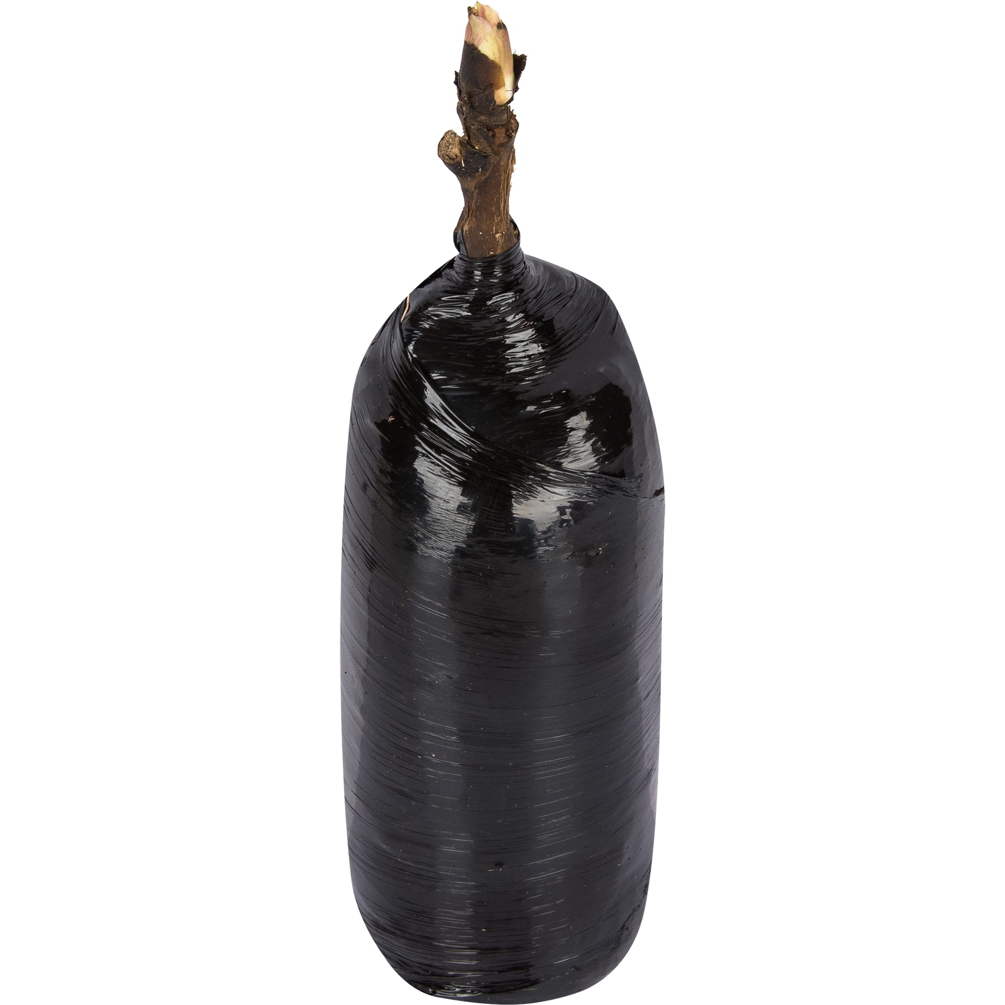 82527824 Пион древовидный Красное Серебро Santreyd  - Вид №1