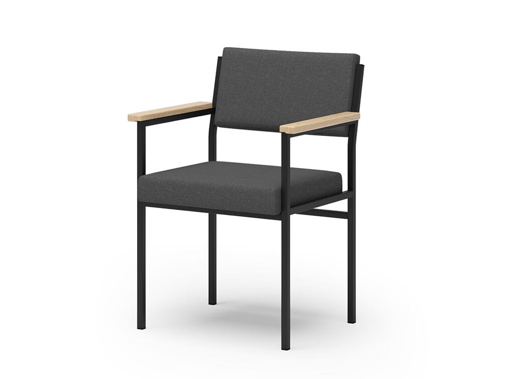 Кресло с подлокотниками для залов ожидания SCHNEEWEISS interior 3060 ARCH-00144261