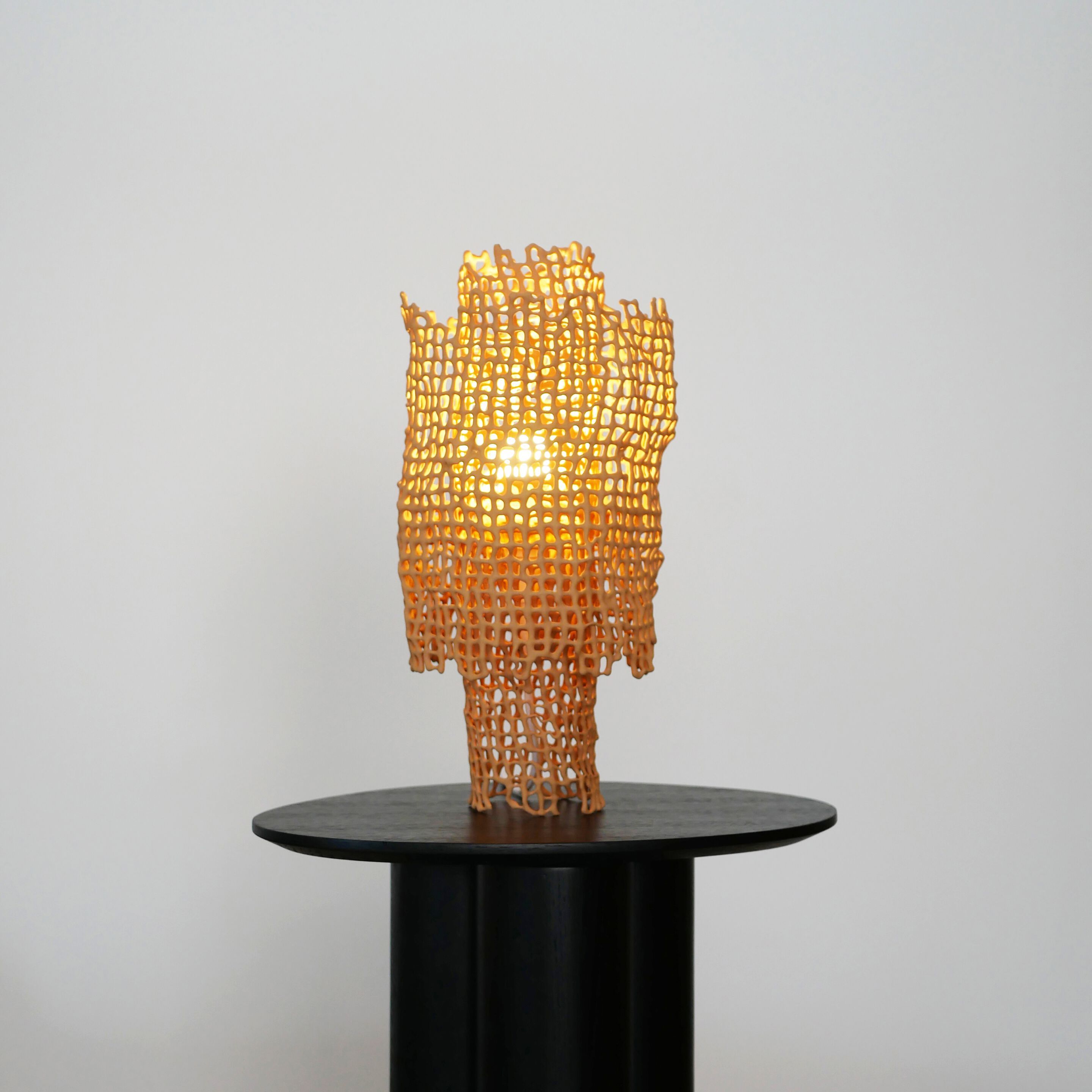 Настольная лампа из глины LO Contemporary Коралл ARCH-00151404 - Вид №2