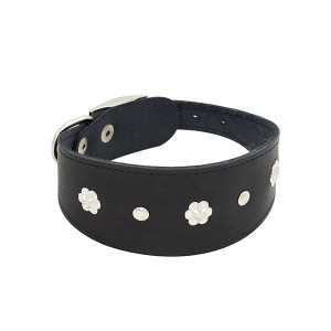 ПР0048178 Ошейник для собак Камбала 1сл 50мм 35см черный ZOOEXPRESS