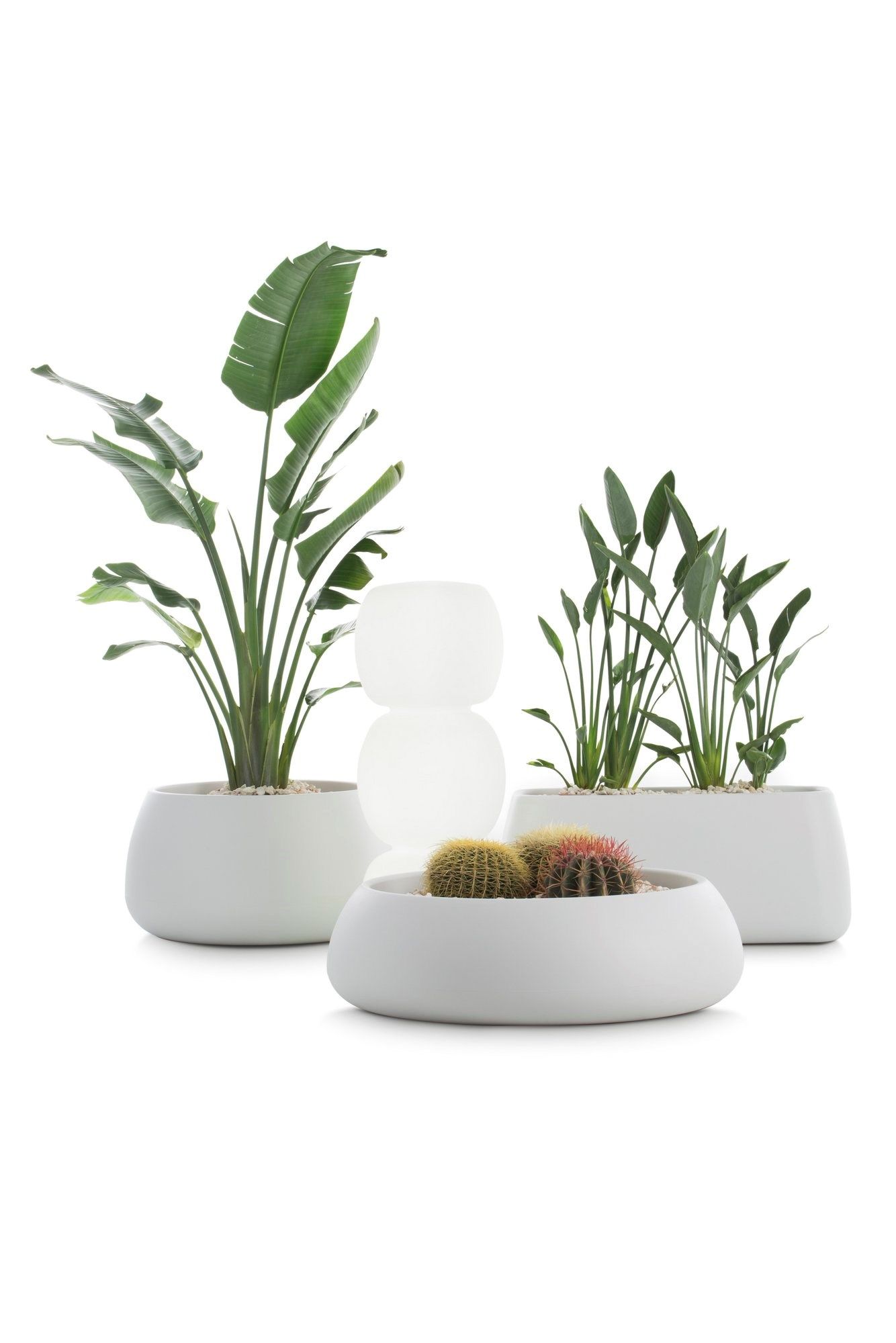 Прямоугольная плантатор Diabla ARCH-00112385 - Вид №9