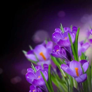 WP02588 Фотообои Verol Фотообои decoline 1х1 м