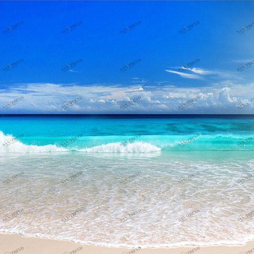 C1-107 Фотообои DIVINO Collection C 2.7х3 м C1107