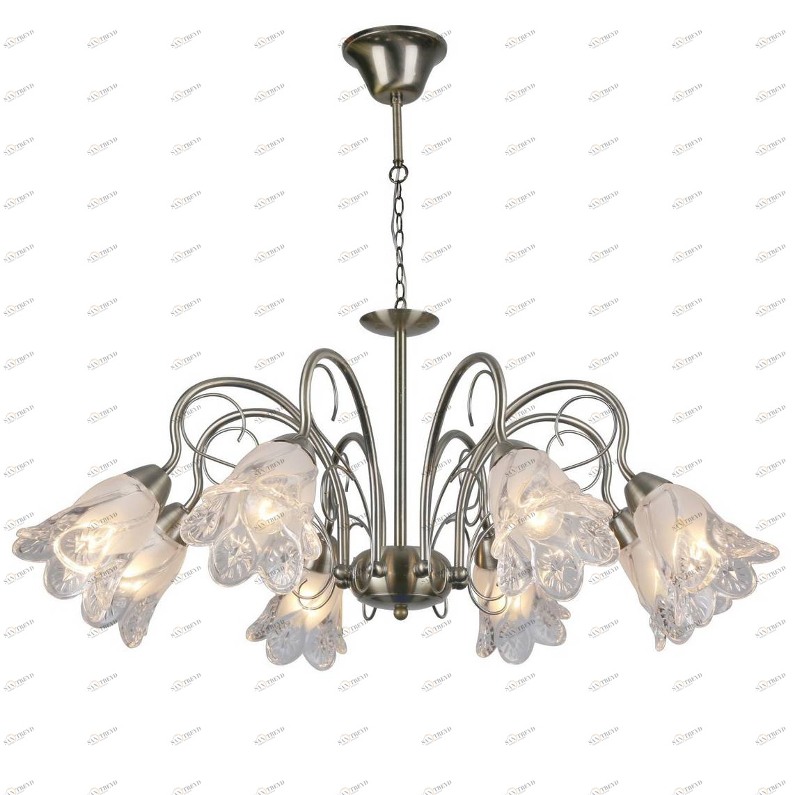 Подвесная люстра Arte Lamp 2 A6273LM-8AB ARTE LAMP ДИЗАЙНЕРСКИЕ 056496 Белый 