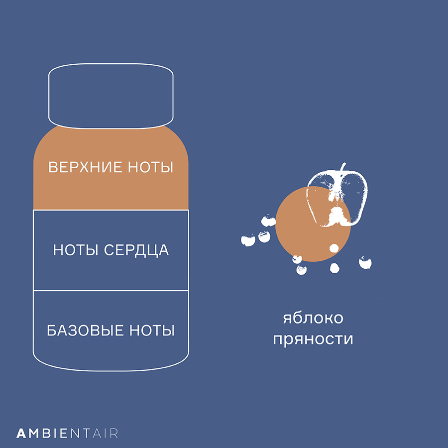 MK100MDTO Диффузор ароматический gifting, Карамель и яблоко, 100 мл Ambientair  - Вид №5