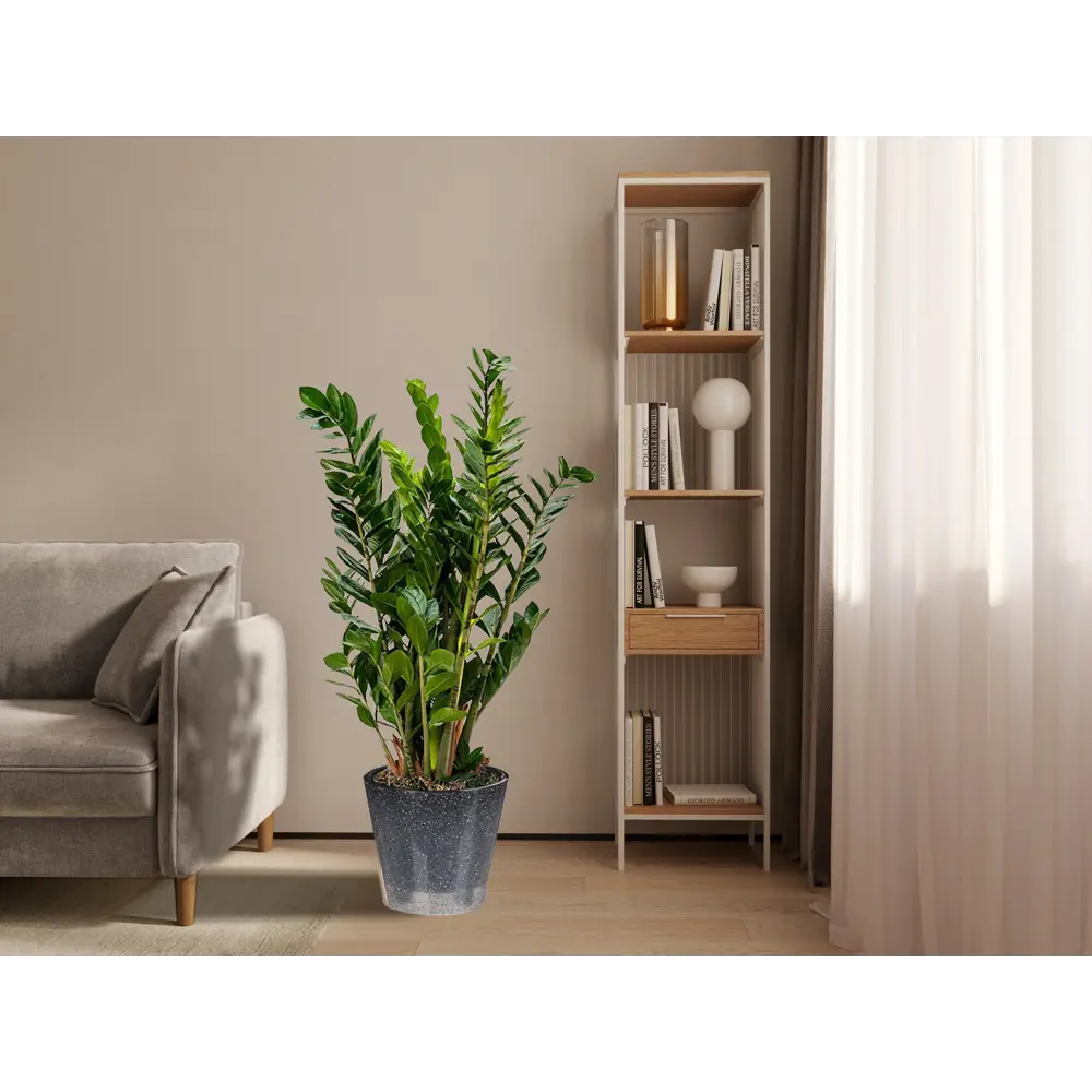 IDI LAND London - стильное кашпо с колесиками для комнатных растений 83994182 STLM-0045980 - Вид №3