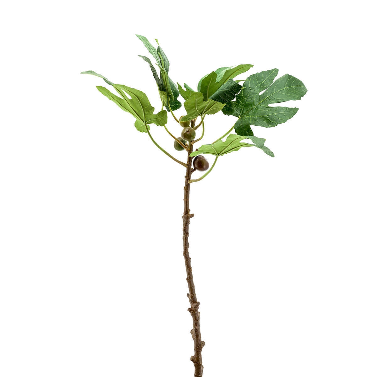 250027-70 ABHIKA ФИЛИАЛ ФИЖ GREEN 