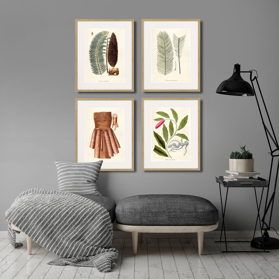 Картина в раме 52х42 см Fragmenta botanica №9, 1809г. КАРТИНЫ В КВАРТИРУ  264317 Бежевый;серый;разноцветный  - Вид №2