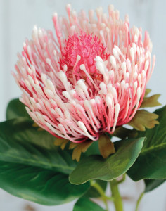 3606 597 a3 Протея искусственная, 65 см, антично-розовая H-andreas