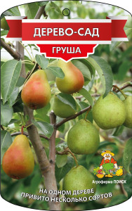 86544020 Груша Дерево сад 3 сорта h180 см STLM-0069904 Santreyd
