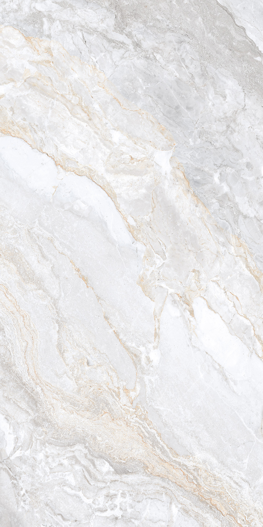 Керамогранит TRIVOLA BIANCO 60х120 Arcadia Ceramica CR4016-A - Вид №1