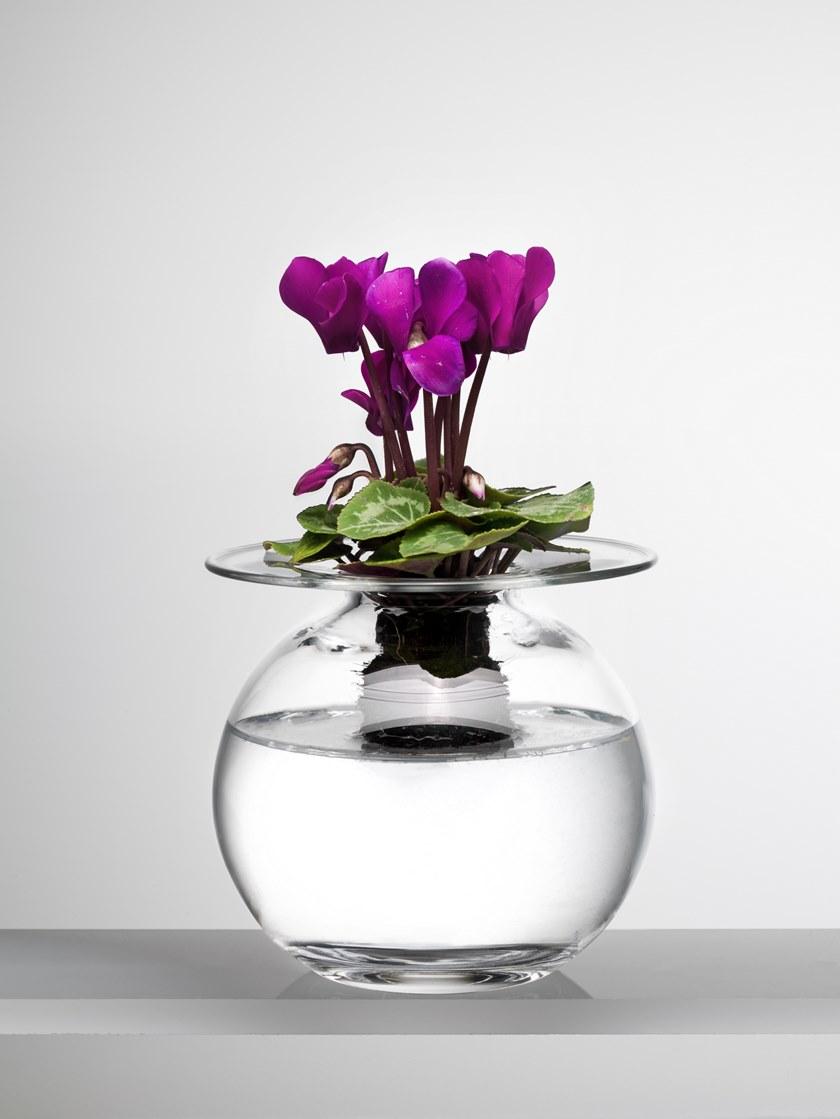 IVV Стеклянная ваза Tete a tete sun-id-1475271 - Вид №1