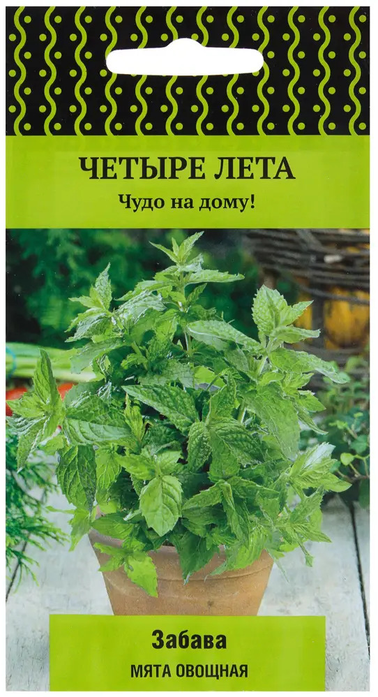 Мята овощная Забава от ПОИСК - ароматный многолетник для дома и сада 17229653