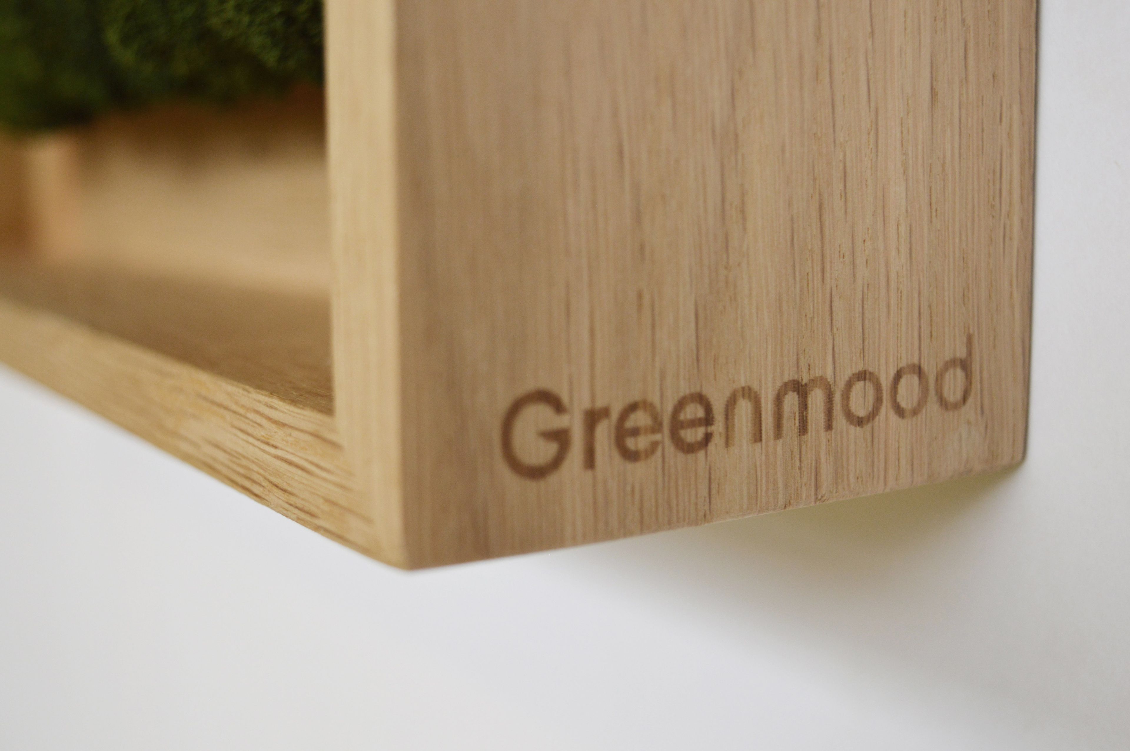 Акустическая панель из мха GREENMOOD FRAMED LANDSCAPE ARCH-00143245 - Вид №24