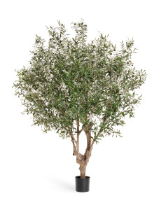 10.27406N Олива Джи-Форест с плодами (сборная) Цветочная коллекция