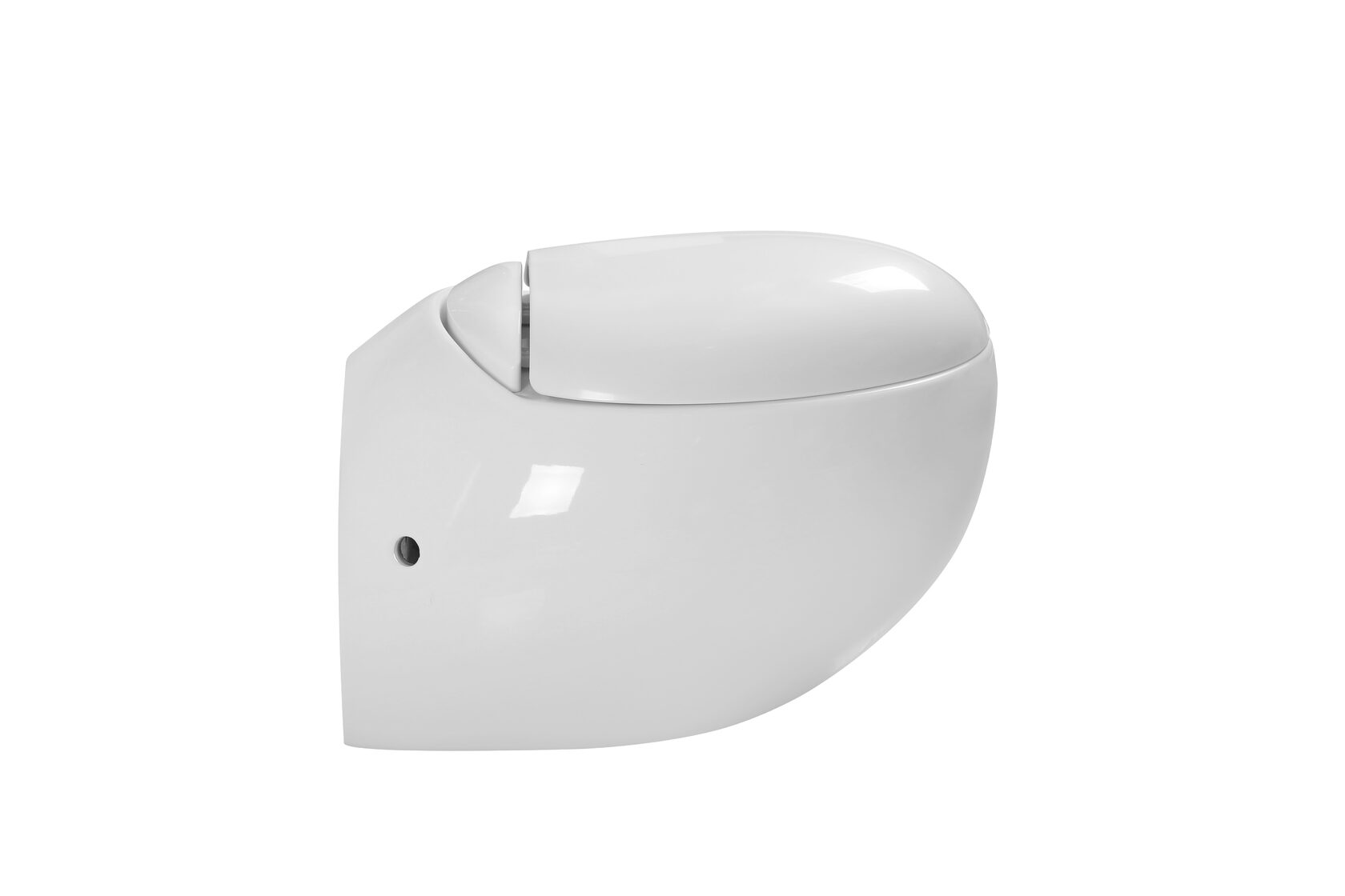 Подвесные унитазы SL-5001 SANTILINE  - Вид №1