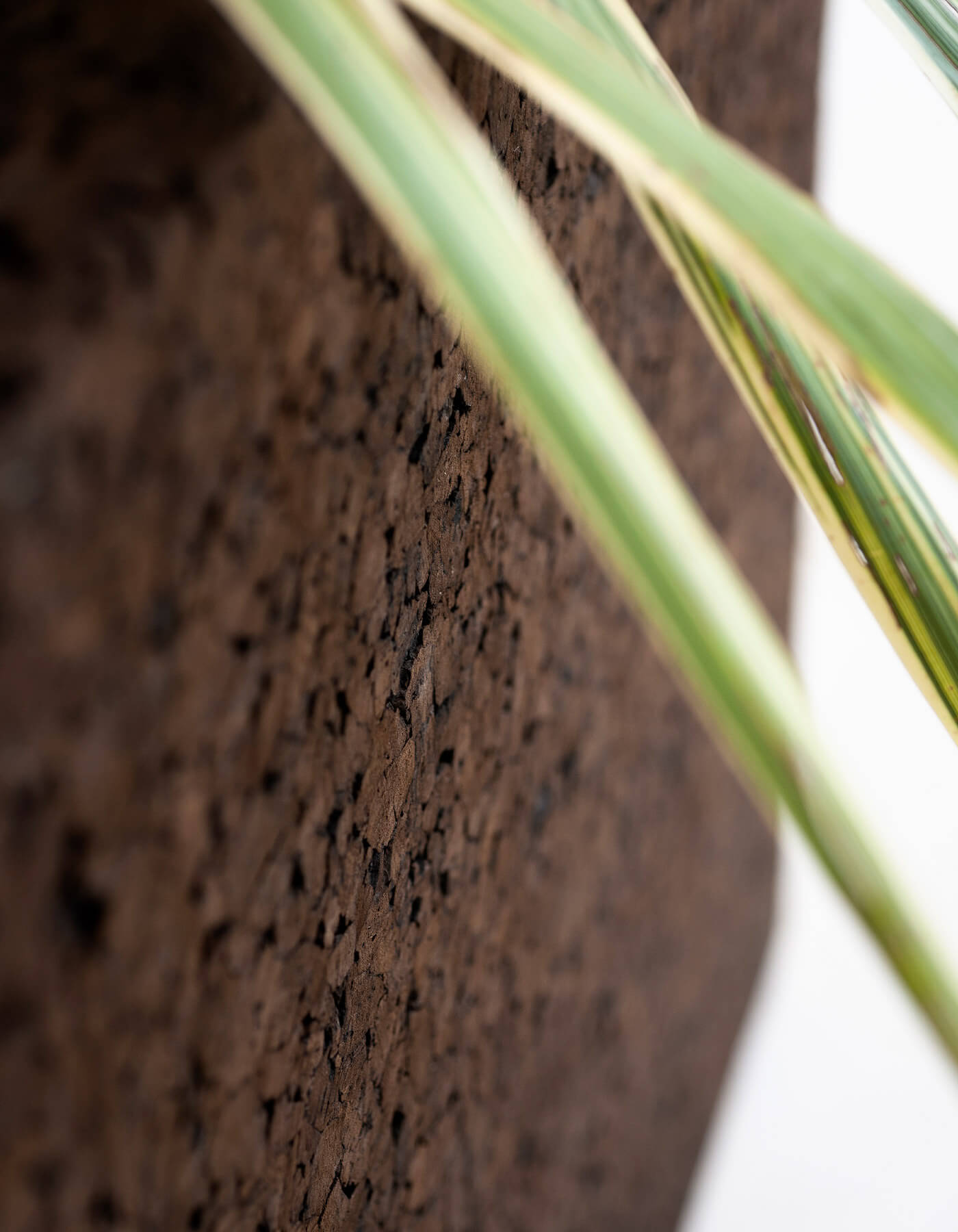 Квадратный садовый горшок из пробки RODA Cortica ARCH-00041112 - Вид №3