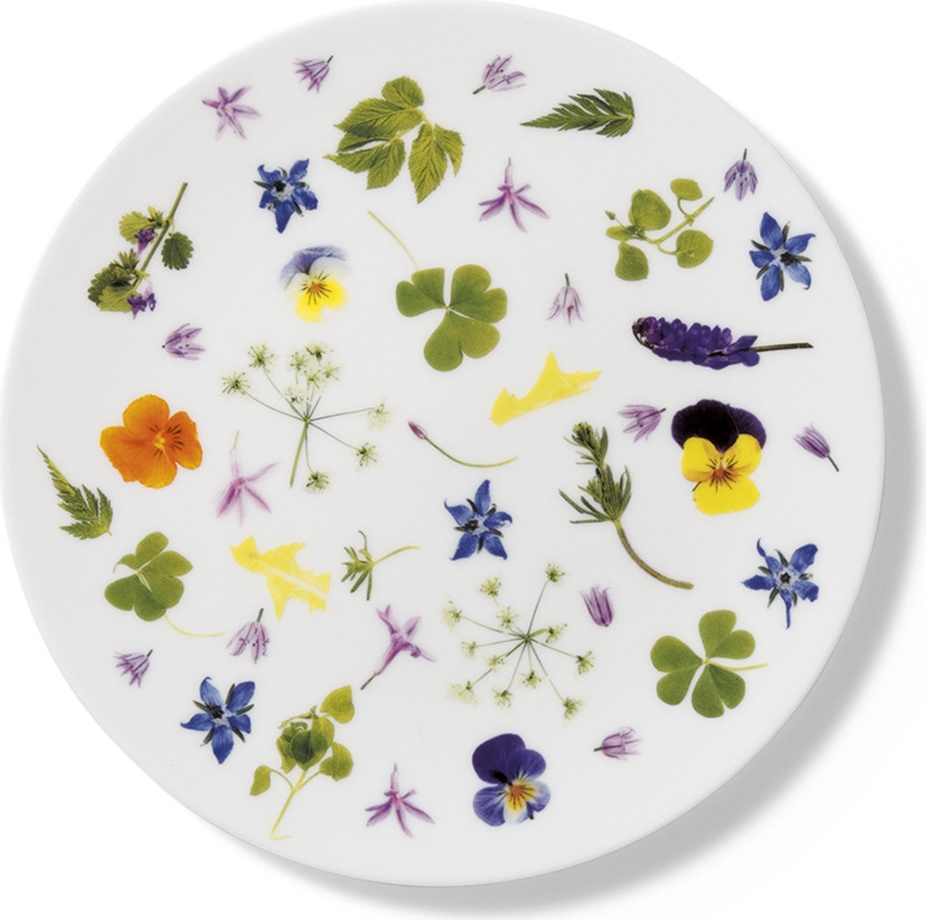 10639972 Dibbern Тарелка закусочная Dibbern "Дикие травы" 21см Фарфор 