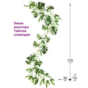 91623464 Искусственное растение ФитоПарк Лиана Монстера Тайское созвездие STLM-0826214
