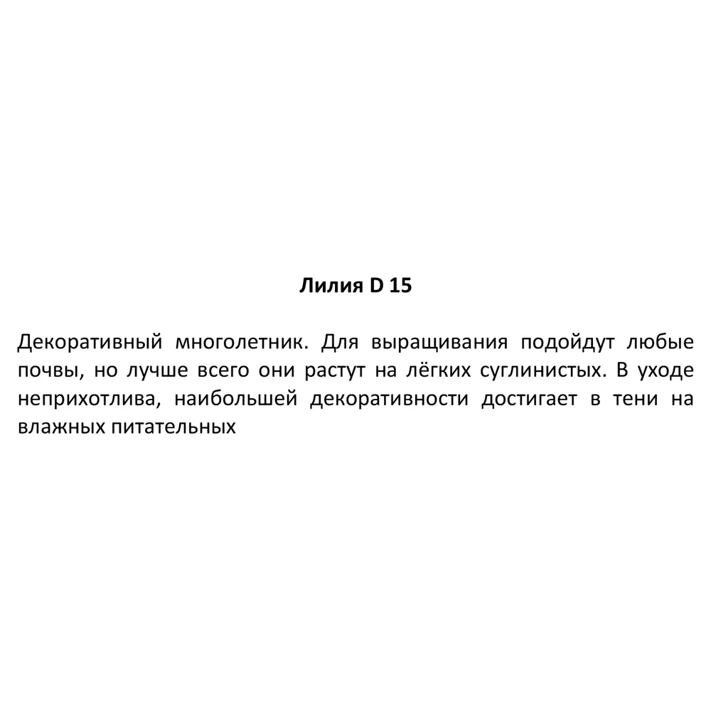 Лилия азиатская ø15 h50 см 89189585 STLM-2049862 Santreyd  - Вид №2
