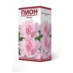 Пион молочноцветковый травянистый Печер 2/3 89381546 STLM-2099666