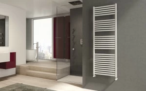 Радиатор отопления 1216 24 пробирки 2 интервала Quadré IRSAP 42.0