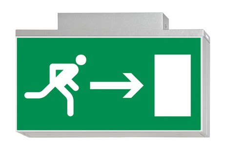 DST-719 Lisu ceiling-mounted Daisalux Светильники аварийные Серебристо-Серый 