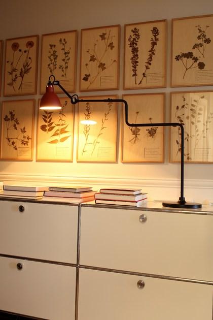 DCW éditions Настольная лампа регулируемая с гибким кронштейном Lampe gras sun-id-1493410 - Вид №2