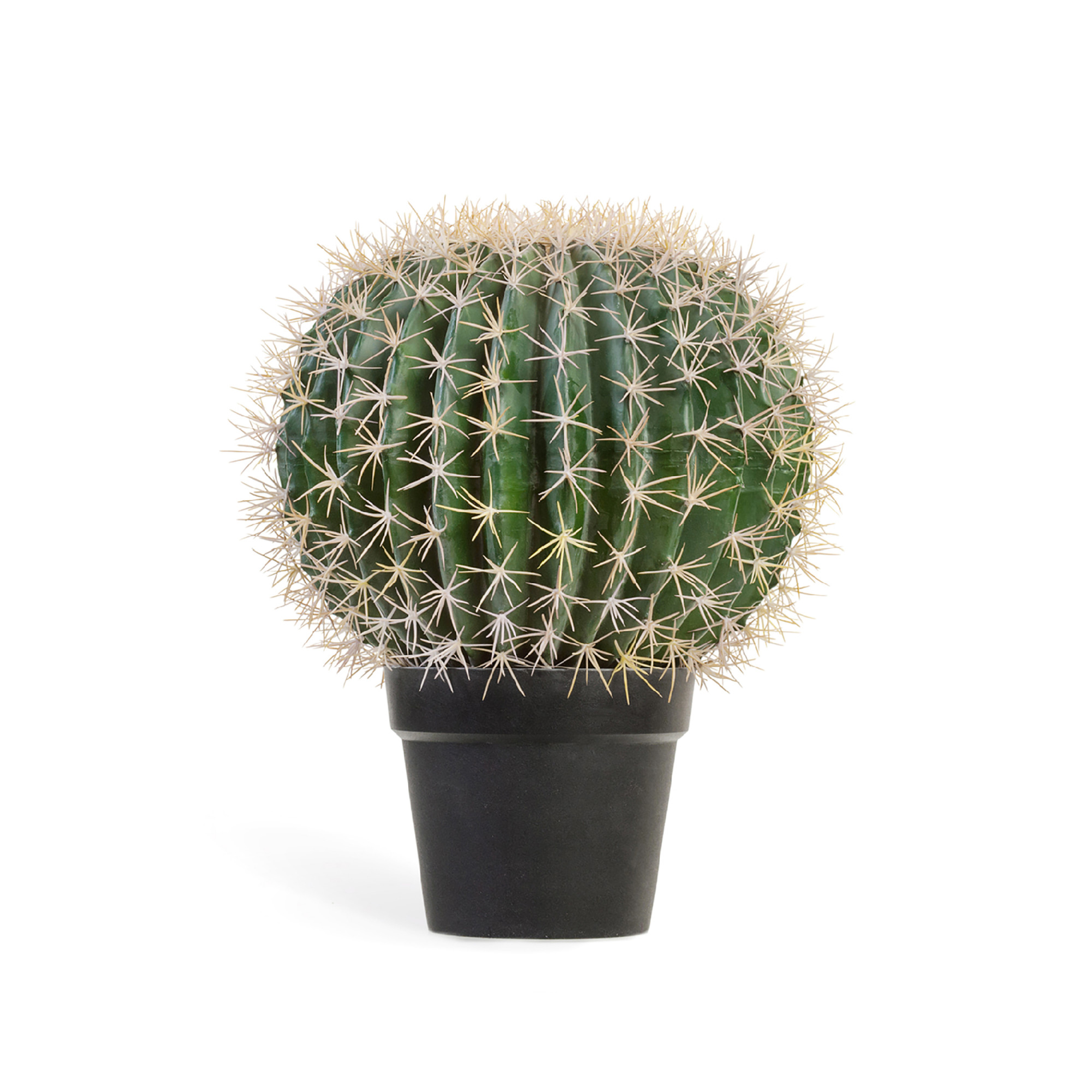 2000983221971 Кактус Баррель UMAGE 