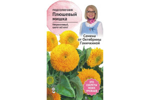 19491018 Семена Подсолнечник Плюшевый мишка 0.5 г 119275 ОКТЯБРИНА ГАНИЧКИНА