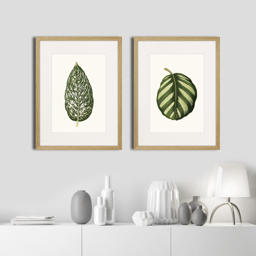 Картина 42х32 см Single Leaf of a Plant №2, 1865г. КАРТИНЫ В КВАРТИРУ  00-3894674 Белый;зеленый  - Вид №2