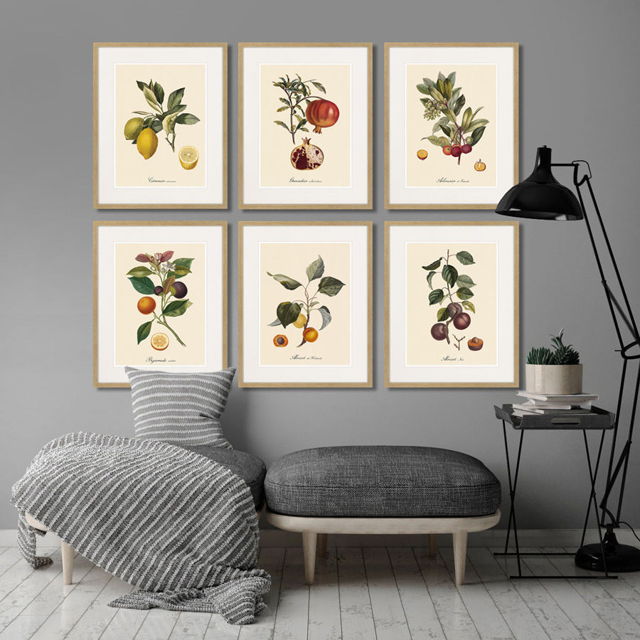 Литография на тонированной бумаге 52х42 см Juicy fruit lithography №11, 1870г. КАРТИНЫ В КВАРТИРУ  264437 Белый;коричневый;разноцветный  - Вид №2