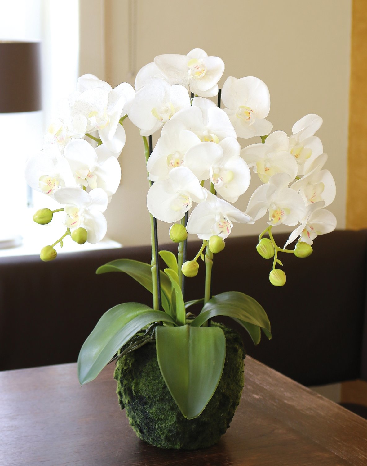 2862 777 a3 Пластиковая орхидея Phalaenopsis с 'почвой', 3-х кратная, 45 см, real touch, белая H-andreas 