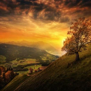 WP00047 Фотообои Verol Фотообои decoline 1х1 м