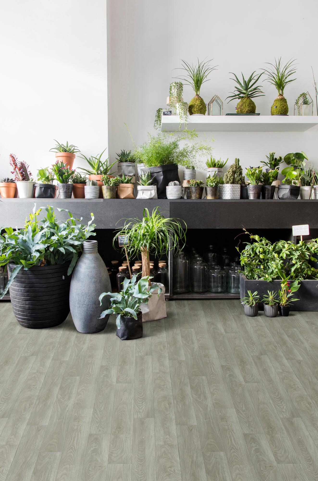 Нескользящий виниловый пол с эффектом дерева BEAUFLOR Plaza ARCH-00056791 - Вид №1