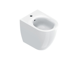 Биде провода стены с переливом пола